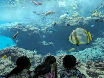 沖縄美ら海水族館に投稿された画像（2026/3/30）