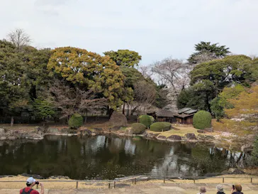 東京国立博物館に投稿された画像（2026/3/30）