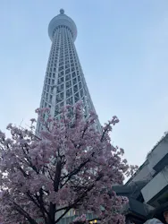 東京スカイツリーに投稿された画像（2026/3/30）