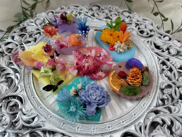 ずこうしつ〜sugamo〜に投稿された画像（2026/3/30）