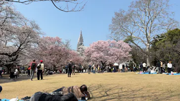 新宿御苑に投稿された画像（2026/3/31）