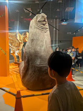 特別展「超危険生物展　科学で挑む生き物の本気」に投稿された画像（2026/3/31）