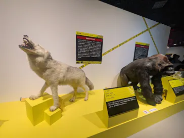 特別展「超危険生物展　科学で挑む生き物の本気」に投稿された画像（2026/3/31）