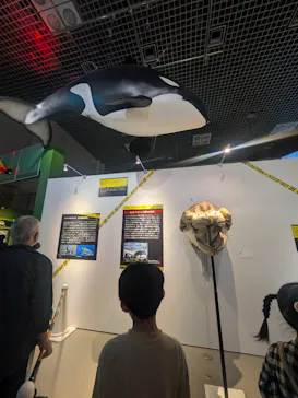 特別展「超危険生物展　科学で挑む生き物の本気」に投稿された画像（2026/3/31）