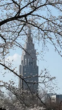 新宿御苑に投稿された画像（2026/3/31）