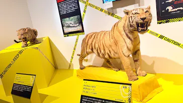 特別展「超危険生物展　科学で挑む生き物の本気」に投稿された画像（2026/3/31）
