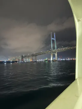 東京湾夜景クルーズ＜横浜港→東京（竹芝桟橋）＞に投稿された画像（2026/3/31）