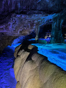 おきなわワールドに投稿された画像（2026/3/31）