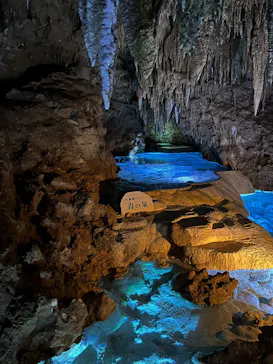 おきなわワールドに投稿された画像（2026/3/31）