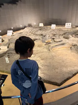 福井県立恐竜博物館に投稿された画像（2026/3/31）