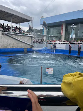 大分マリーンパレス水族館 「うみたまご」に投稿された画像（2026/3/31）