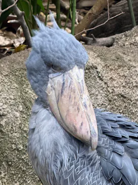 那須どうぶつ王国に投稿された画像（2026/3/31）