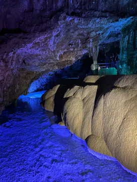 おきなわワールドに投稿された画像（2026/3/31）