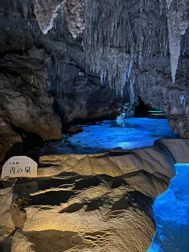 おきなわワールドに投稿された画像（2026/3/31）