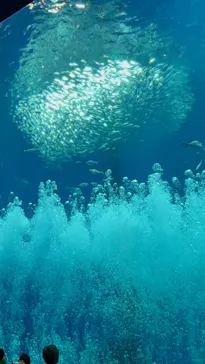 アクアワールド茨城県大洗水族館に投稿された画像（2026/3/31）