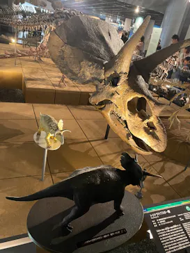 福井県立恐竜博物館に投稿された画像（2026/3/31）