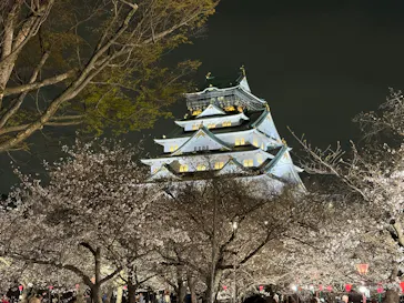 大阪城公園 西の丸庭園に投稿された画像（2026/3/31）