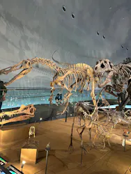 福井県立恐竜博物館に投稿された画像（2026/3/31）