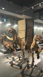 福井県立恐竜博物館に投稿された画像（2026/3/31）