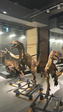 福井県立恐竜博物館に投稿された画像（2026/3/31）