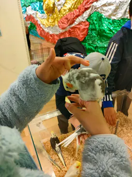 いきもの探検隊湘南に投稿された画像（2026/3/31）