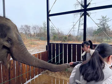 那須ワールドモンキーパークに投稿された画像（2026/3/31）