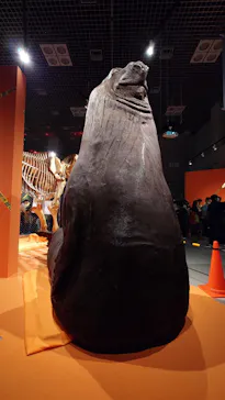特別展「超危険生物展　科学で挑む生き物の本気」に投稿された画像（2026/3/31）