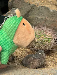 伊豆シャボテン動物公園に投稿された画像（2026/3/31）