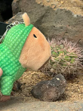 伊豆シャボテン動物公園に投稿された画像（2026/3/31）