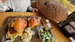 伊豆シャボテン動物公園に投稿された画像（2026/3/31）