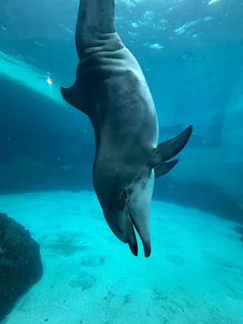 アソビュー！ポイントに投稿された画像（2026/3/31）