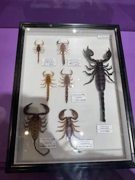 特別展「超危険生物展　科学で挑む生き物の本気」に投稿された画像（2026/3/31）