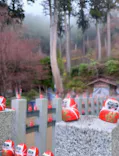 勝尾寺に投稿された画像（2026/3/31）