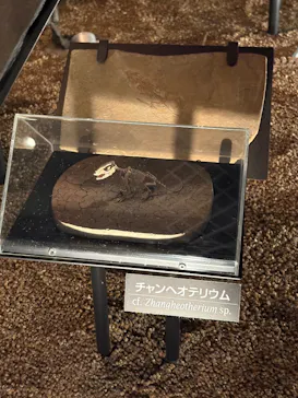 国立科学博物館に投稿された画像（2026/3/31）