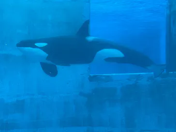 名古屋港水族館に投稿された画像（2026/3/31）