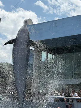 大分マリーンパレス水族館 「うみたまご」に投稿された画像（2026/3/31）