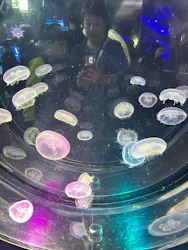 名古屋港水族館に投稿された画像（2026/3/31）