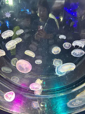 名古屋港水族館に投稿された画像（2026/3/31）