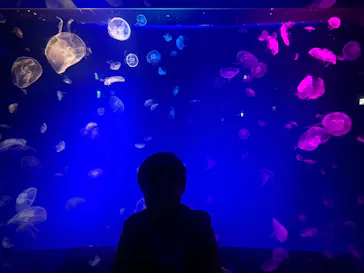 名古屋港水族館に投稿された画像（2026/3/31）
