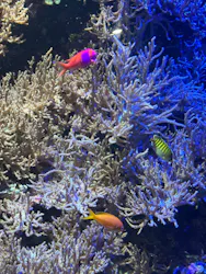 名古屋港水族館に投稿された画像（2026/3/31）