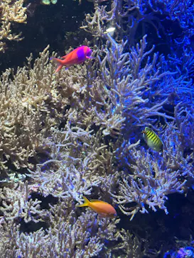 名古屋港水族館に投稿された画像（2026/3/31）