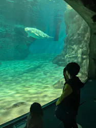 名古屋港水族館に投稿された画像（2026/3/31）