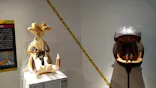 特別展「超危険生物展　科学で挑む生き物の本気」に投稿された画像（2026/3/31）