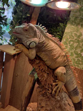 Moff animal world BIGHOPガーデンモール印西店に投稿された画像（2026/3/31）
