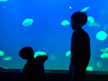 大分マリーンパレス水族館 「うみたまご」に投稿された画像（2026/3/31）