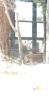 恩賜上野動物園に投稿された画像（2026/3/31）