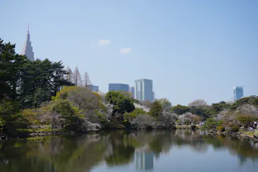 新宿御苑に投稿された画像（2026/3/31）