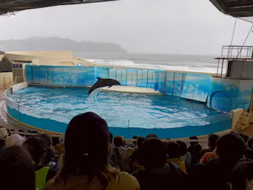 新江ノ島水族館に投稿された画像（2026/3/31）