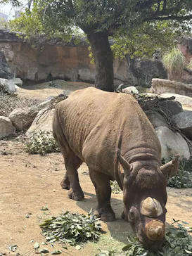 天王寺動物園に投稿された画像（2026/3/31）
