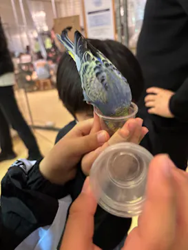 Moff animal cafe イオンモール幕張新都心店に投稿された画像（2026/3/31）